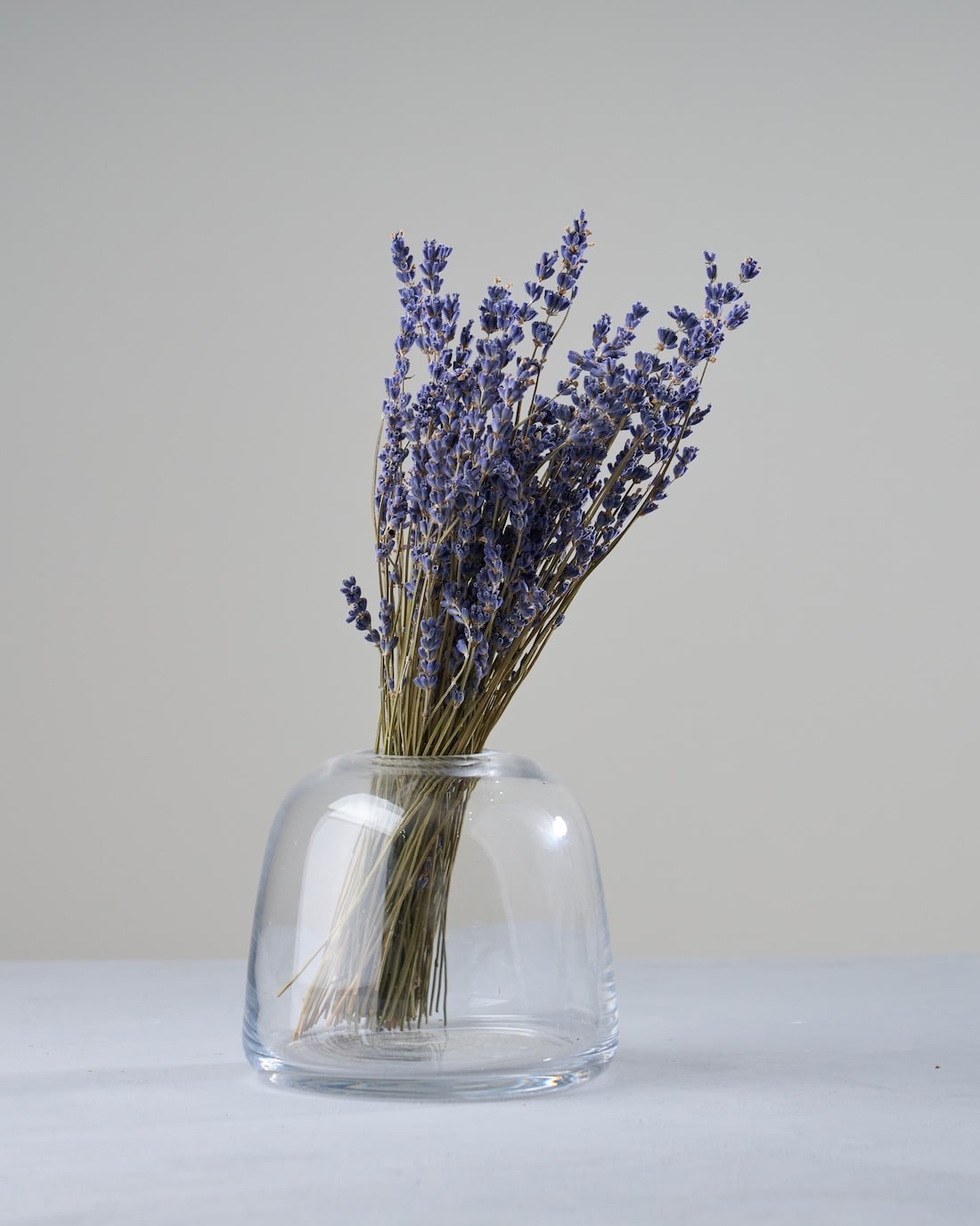 ラベンダーのドライフラワー – 土と風の植物園