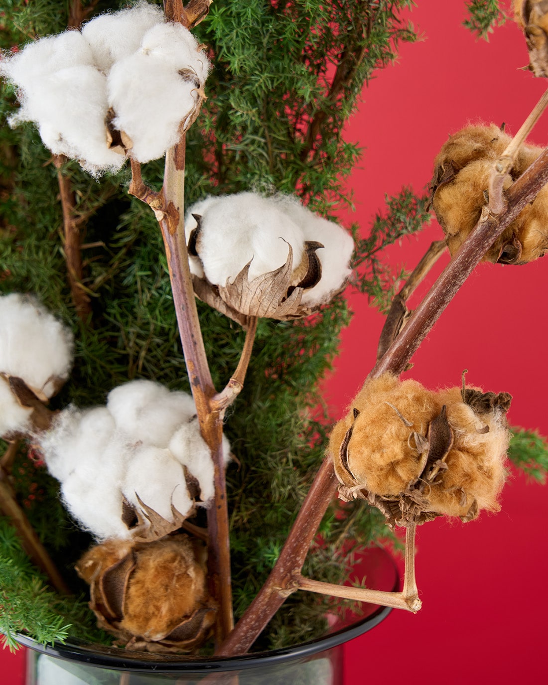 飾るだけでサマになるドライフラワーセット（サツマ杉・コットン