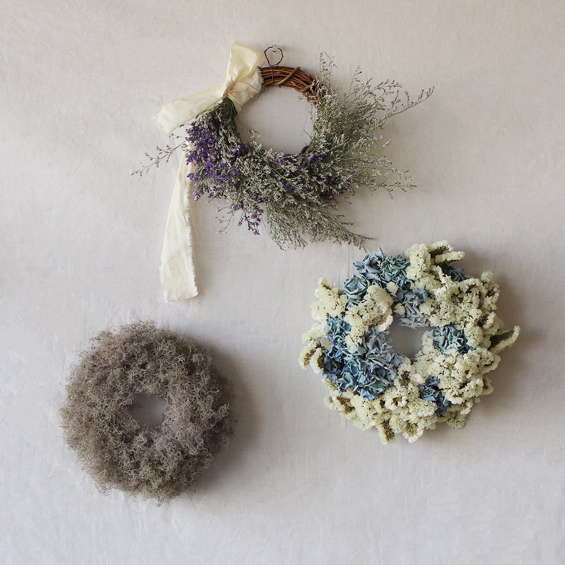 リース］スモークツリー＜バード・ネスト＞ 商品ページ - 土と風の植物園