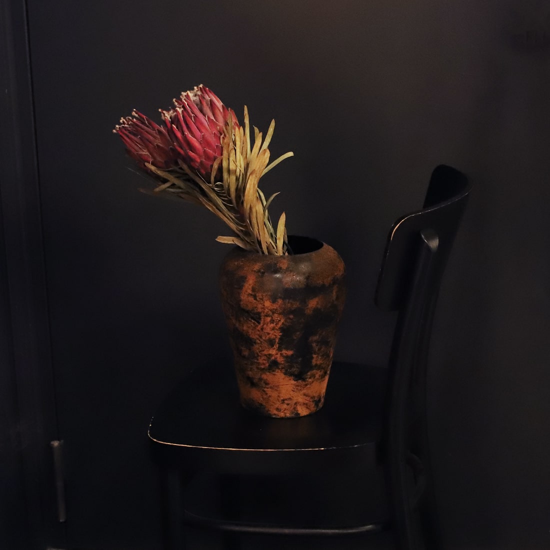 ドライフラワー］プロテア ビーナス 商品ページ - 土と風の植物園