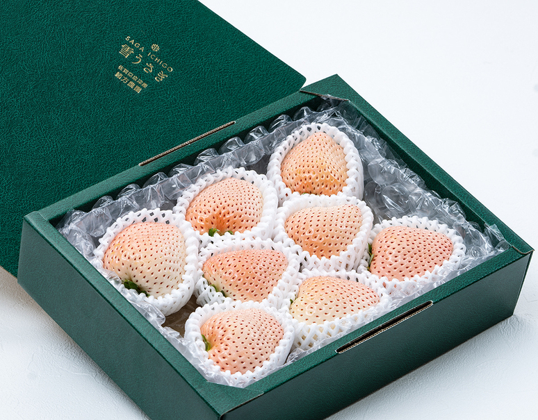 緒方農園 緒方康孝さんの白いちご『さくらいちご（品種 雪うさぎ