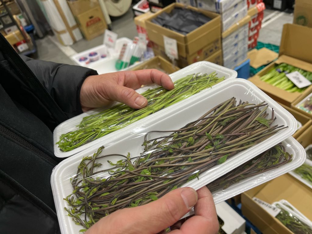 仲卸で出会ったアケビのつる・うるい | 豊洲市場ドットコムブログ