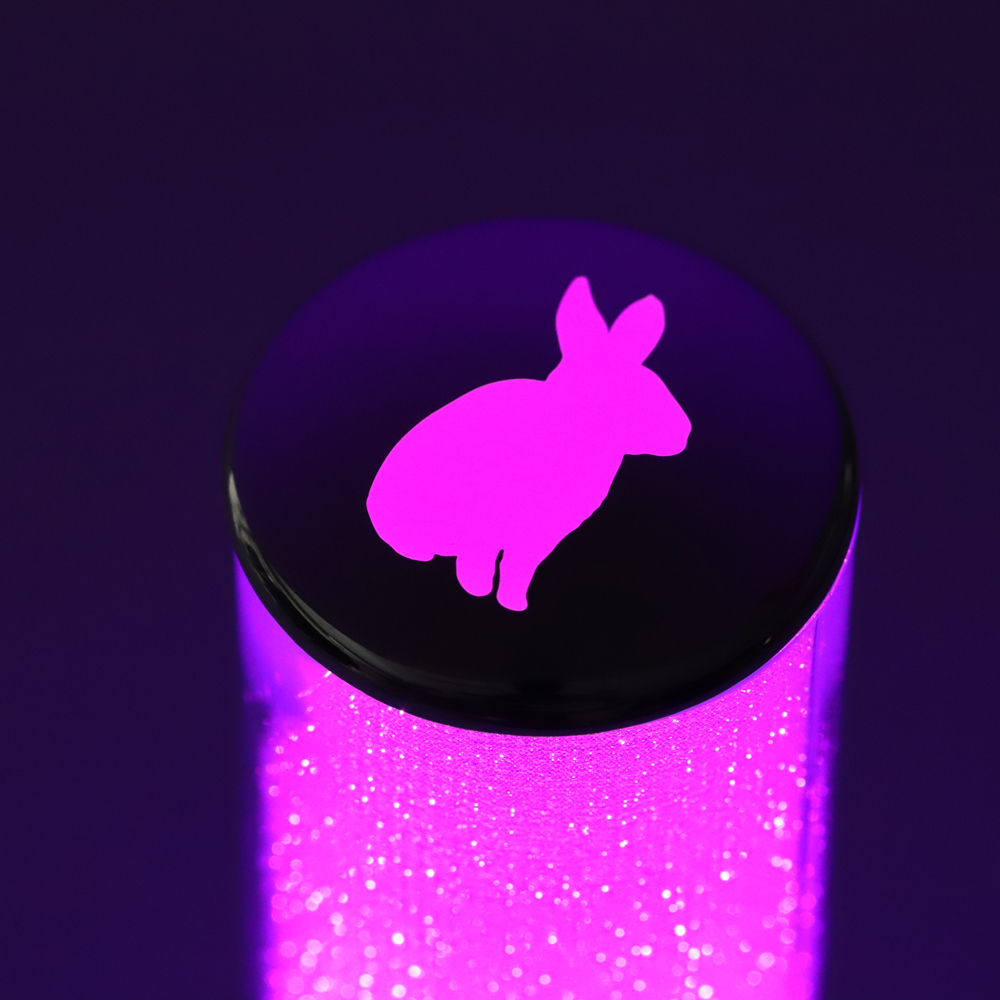 THE THIRD (仮) 直筆サインCD ペンライト THE THIRD (仮) 直筆サインCD