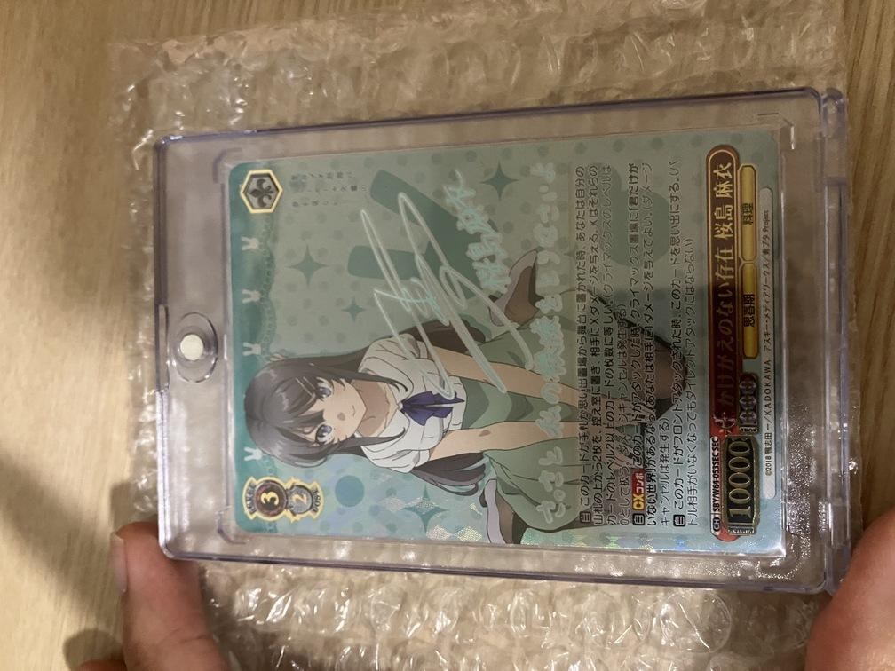 樂淘代購心得(6)（ws ヴァイスシュヴァルツかけがえのない存在桜島麻衣