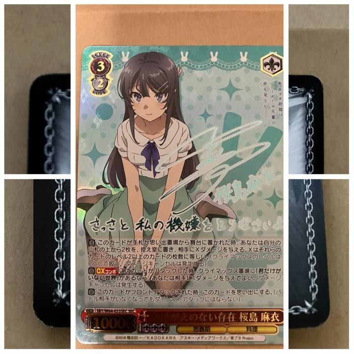 樂淘代購心得(6)（ws ヴァイスシュヴァルツかけがえのない存在桜島麻衣