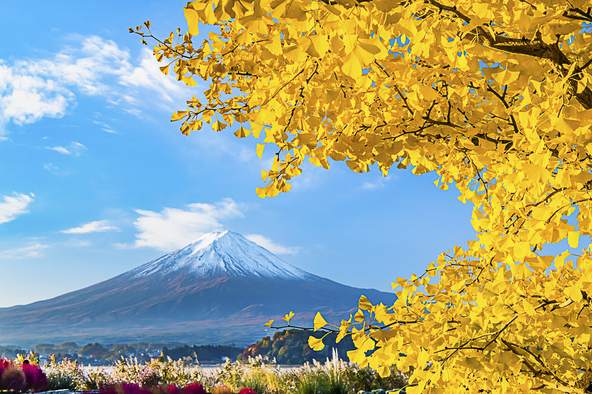 Best Season to Visit Mount Fuji: A Guide to Japan's Iconic