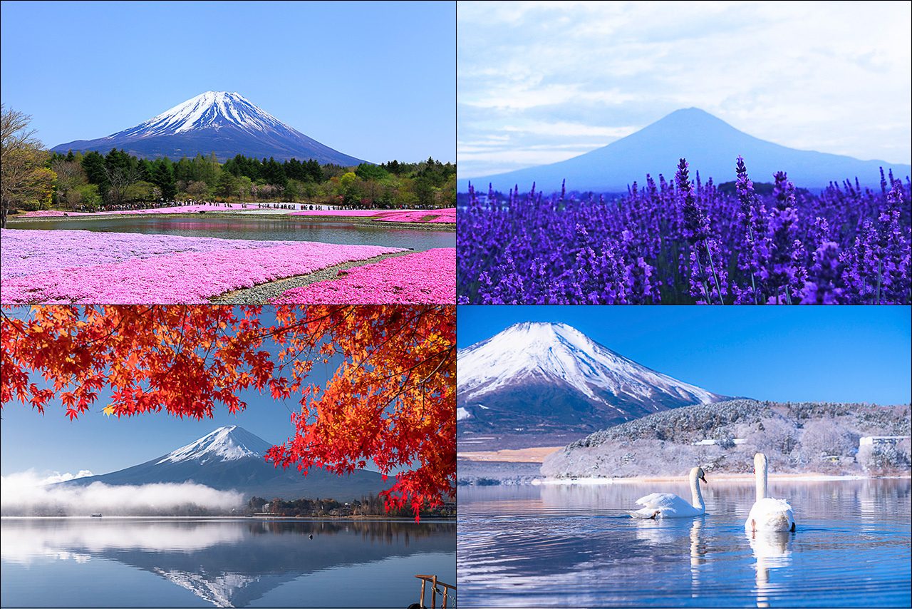 Best Season to Visit Mount Fuji: A Guide to Japan's Iconic