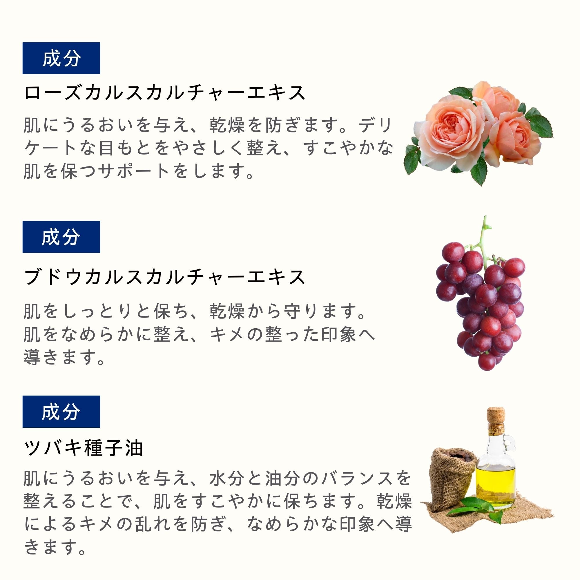 アイクリーム 25ml – TROIAREUKE公式｜トロイアルケ