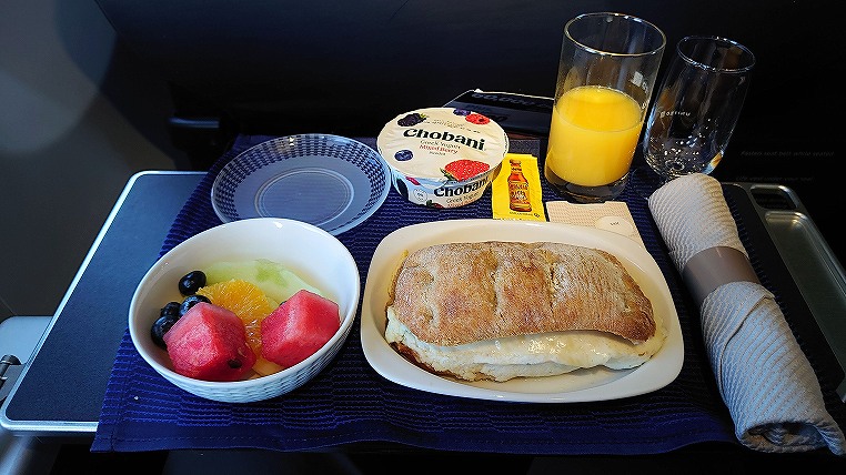 ユナイテッド航空 米国内線ファーストクラス ニューアークEWR＞シカゴ