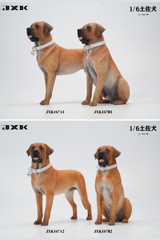 JxK Studio JXK167 1/6 土佐犬 Tosa inuフィギュア スタチュー A1 B1