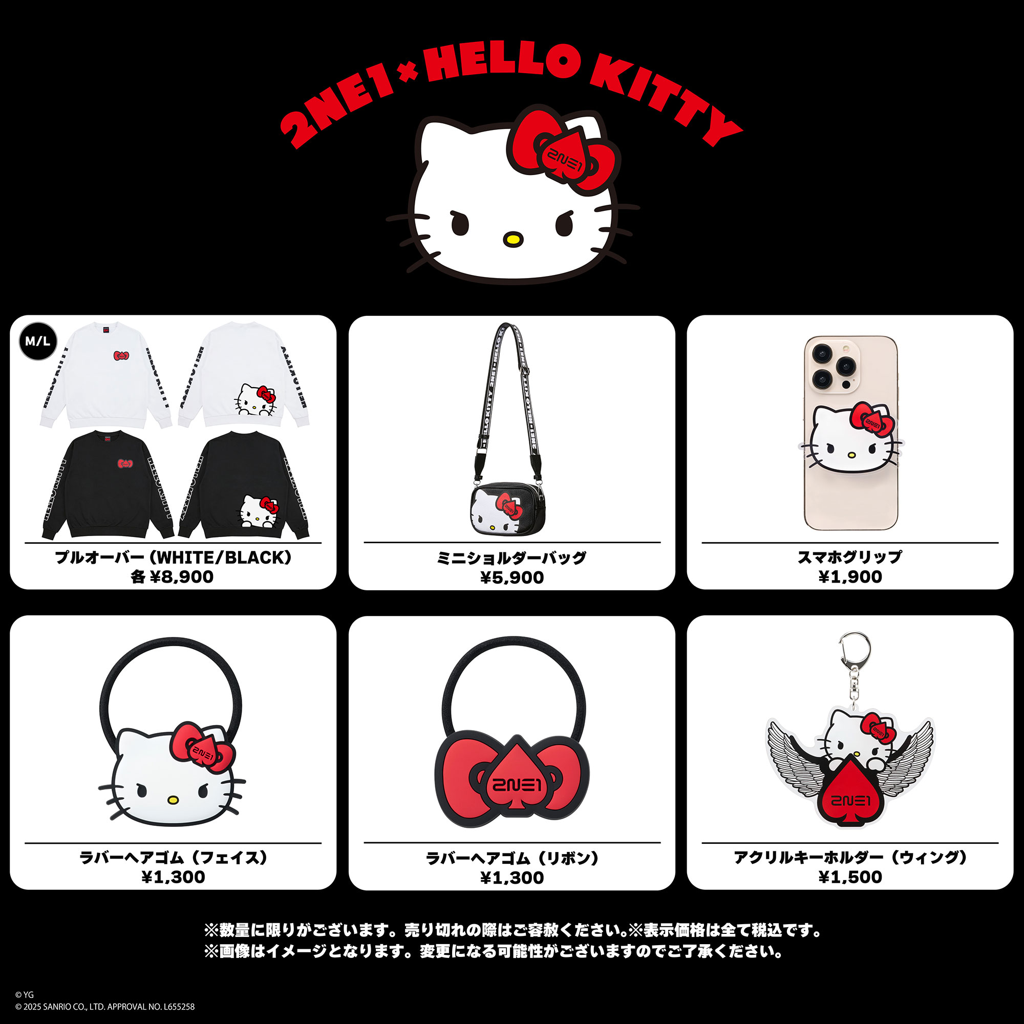 2024 2NE1 CONCERT [WELCOME BACK] IN JAPAN』Cafe & Shop | NEWS