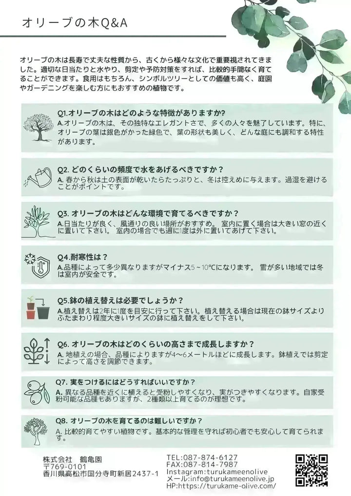 Q_A_e0b4ab6b-7cbb-46f0-bfe0-