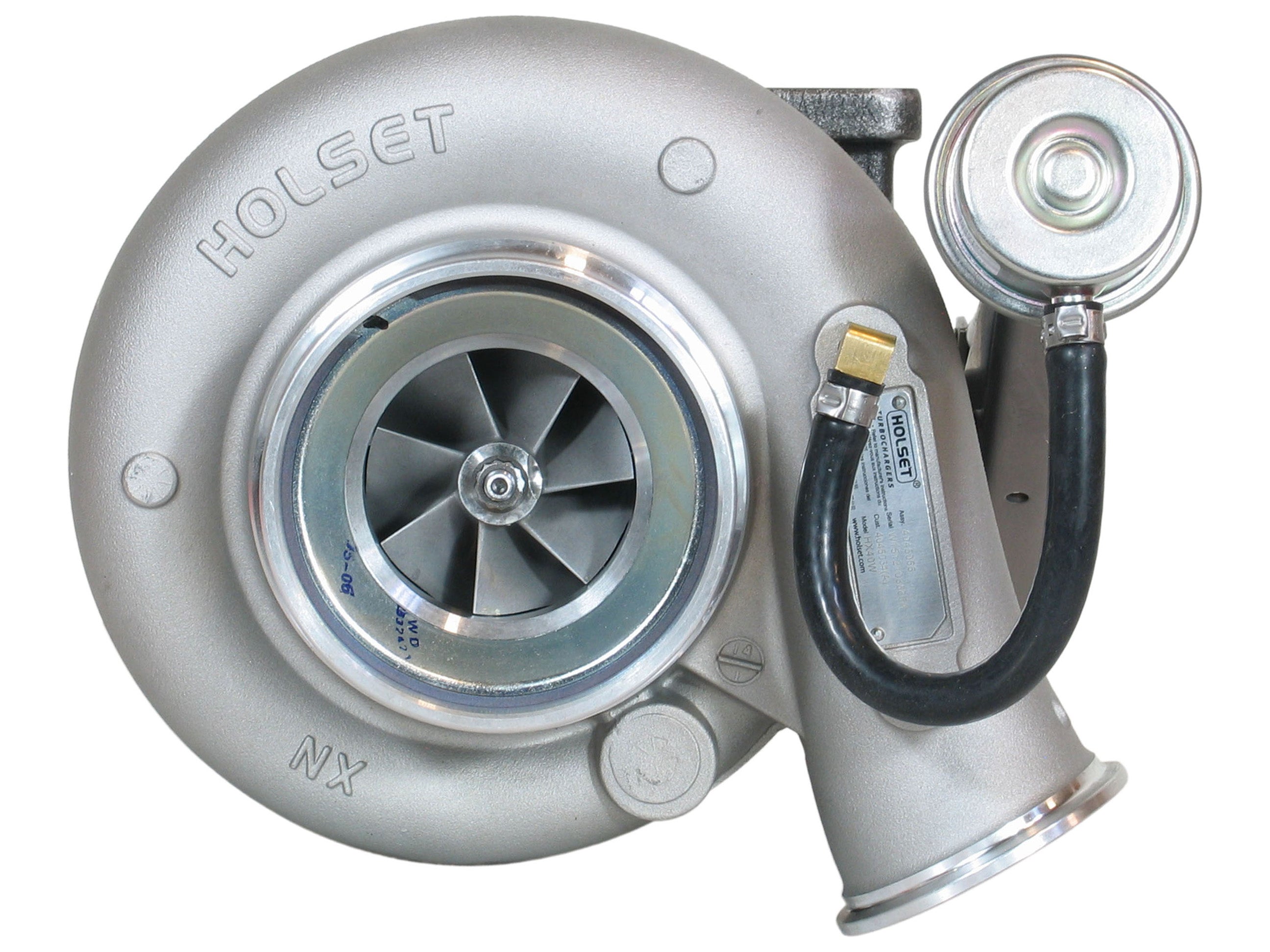 4045055_1.1.jpg?v=1723828171&