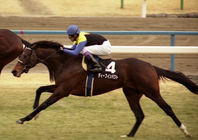 私の淀40年物語」ディープインパクト（2005年若駒ステークス1着その②