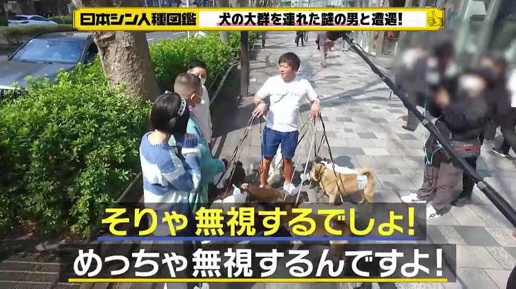 グッ”となる漢方で雄叫び！原宿でよく見かける”犬15匹を連れた男”の