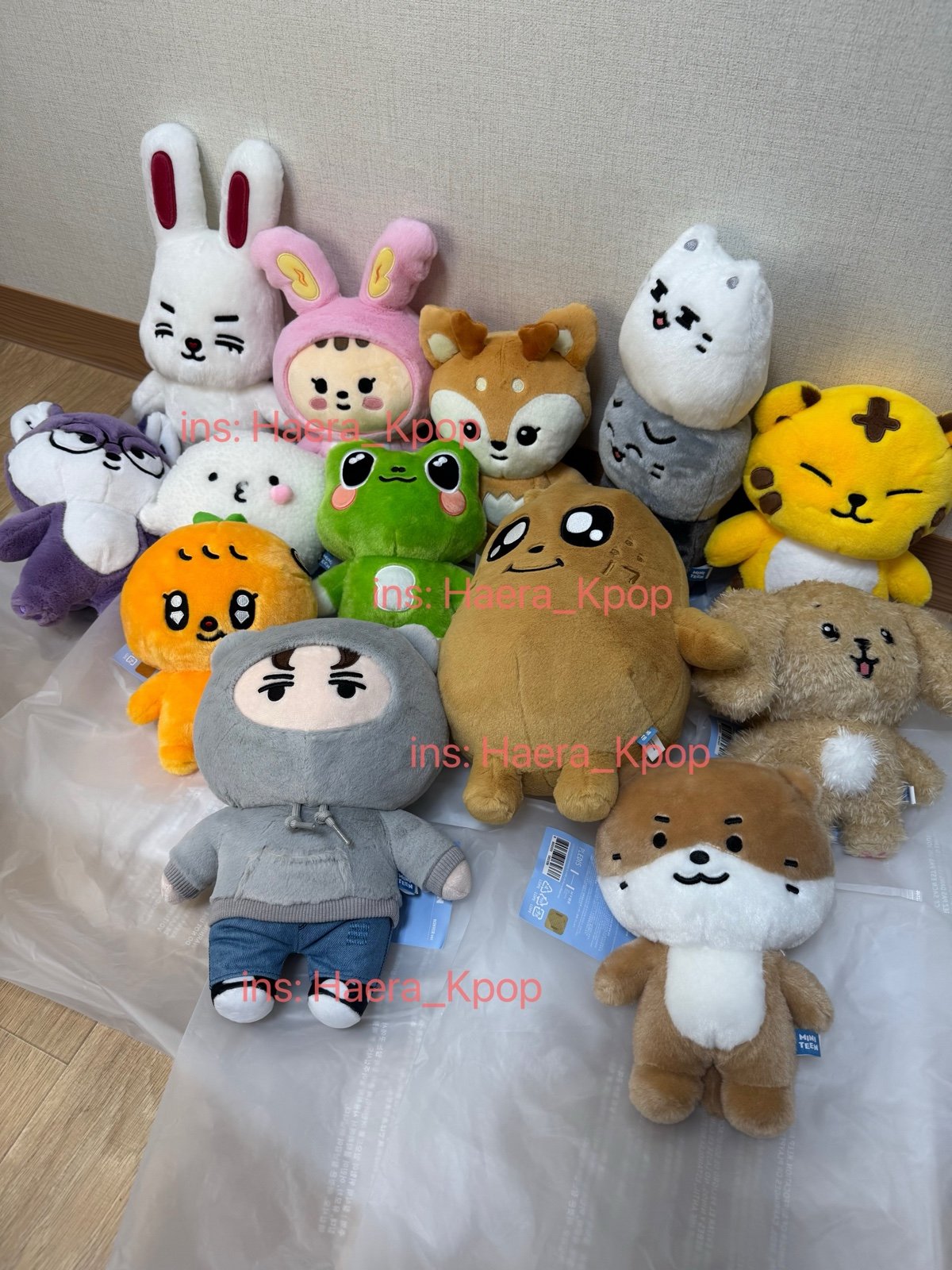 SEVENTEEN MINGYU KIMJA MINITEEN OFFCIAL HOUSE | Mercari