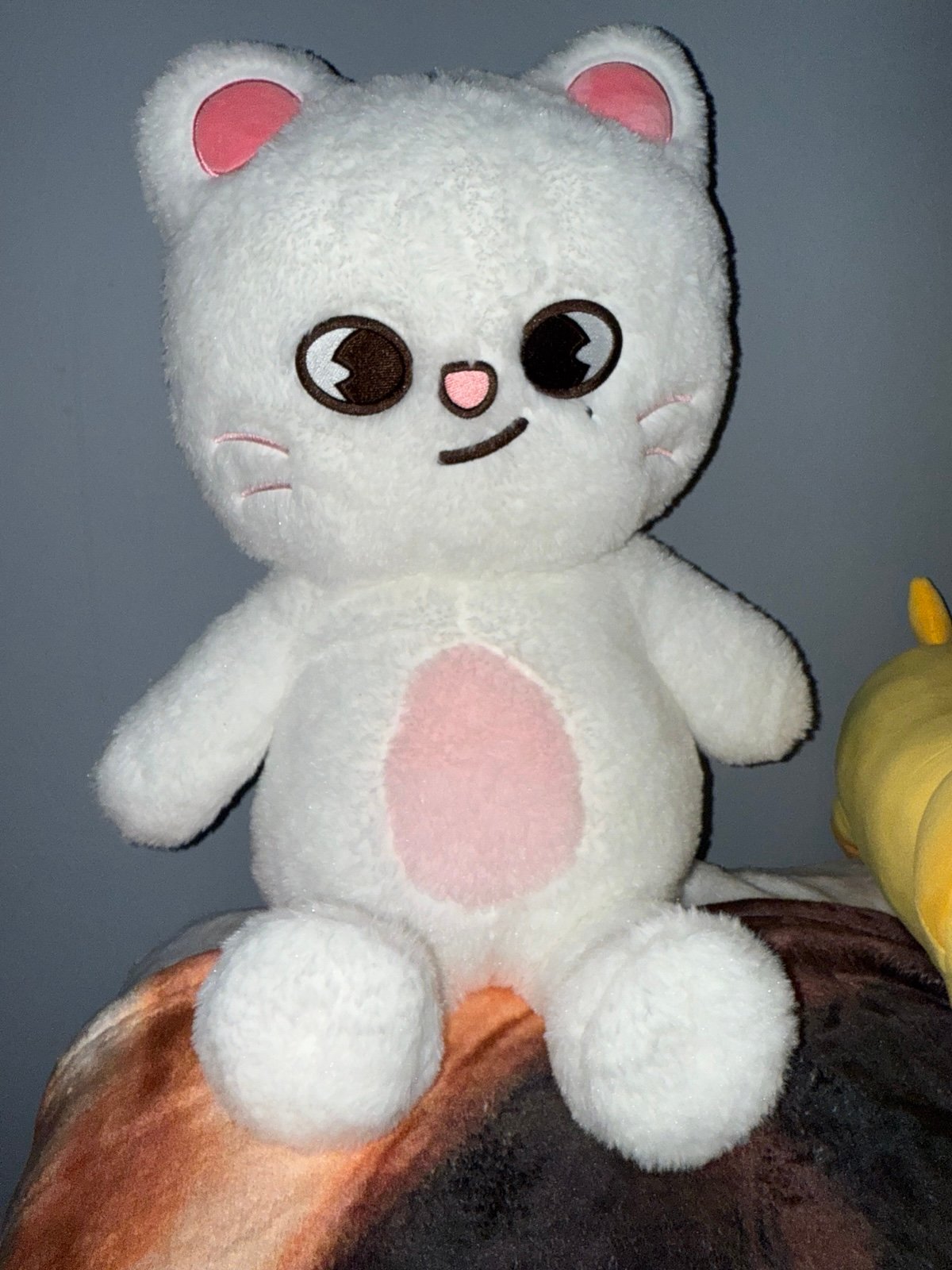 Official SKZOO Jiniret Teddy bear | Mercari