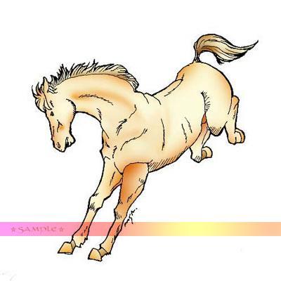 跳ね馬 | 仲村聖裕 | AWRD (en)