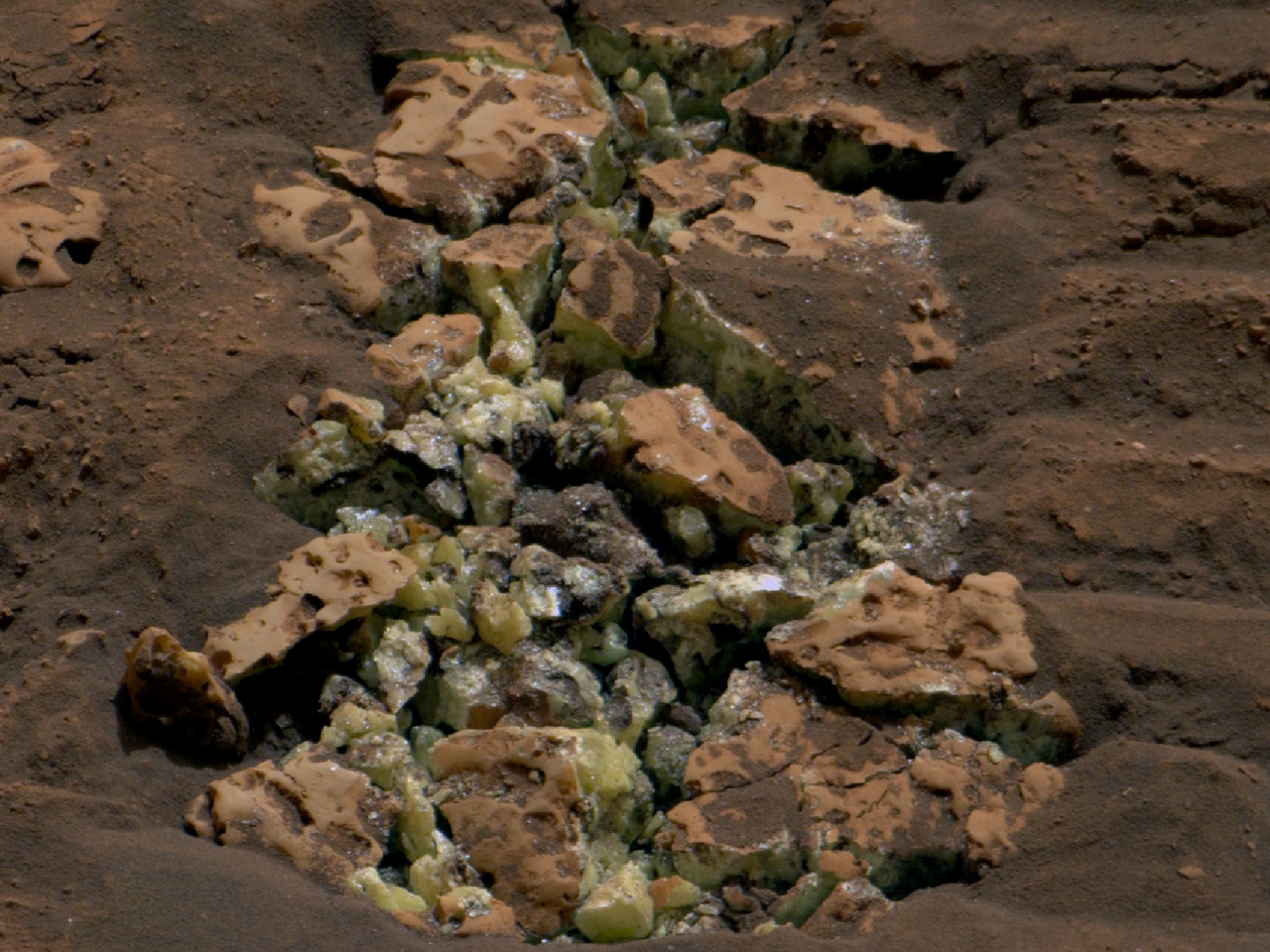 化石模様の岩石 G7 田穂の石灰岩｜ジオサイト | 四国西予ジオパーク