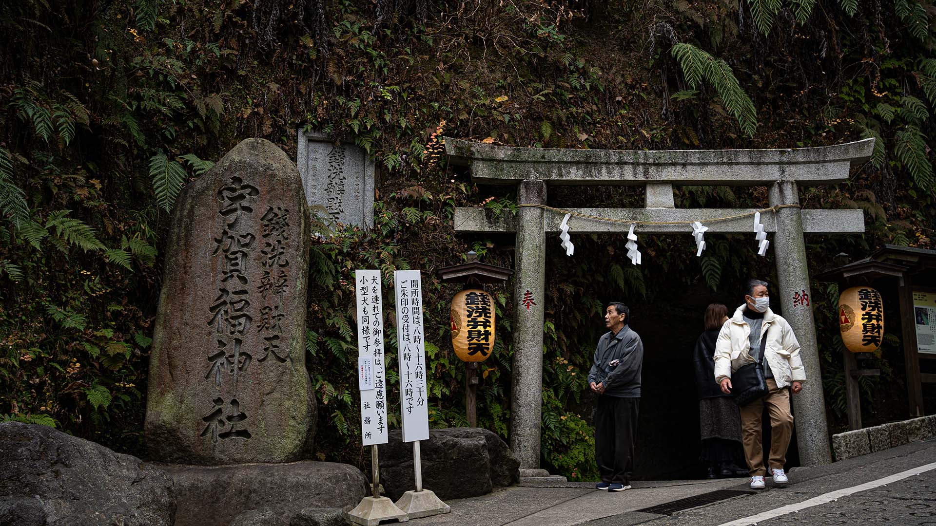 鎌倉散歩 in 2025【前編】〜鶴岡八幡宮・銭洗弁財天と濡れた紙幣