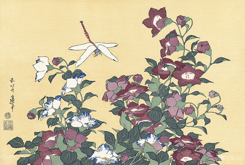 桔梗に蜻蛉／葛飾北斎 | ukio（ウキオ） | 浮世絵のサブスクレンタル