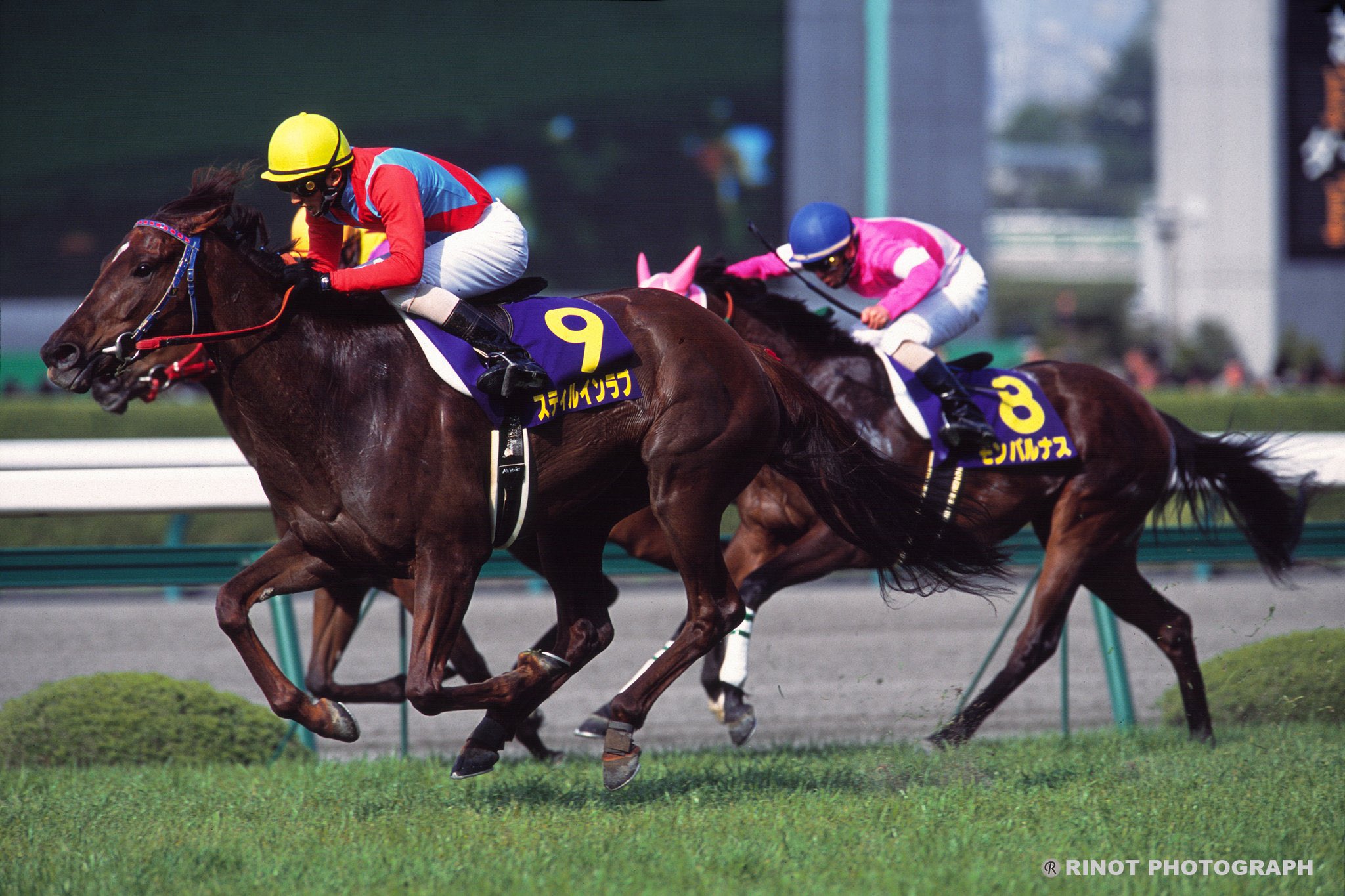 二番人気に花束を。三冠牝馬スティルインラブが戦い抜いた3歳シーズン