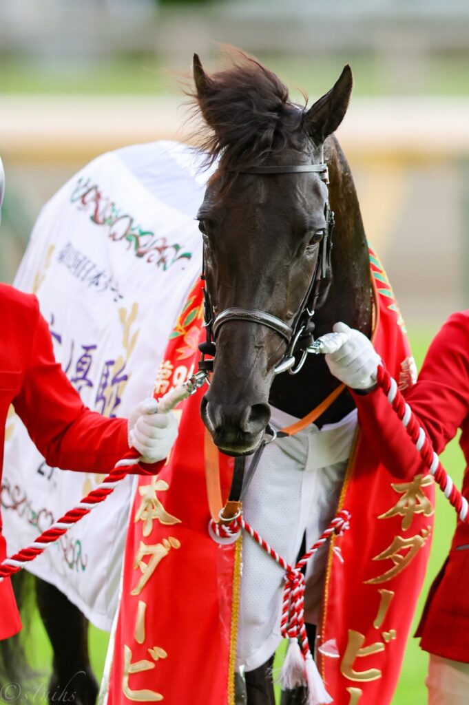 重賞回顧］馬を信じ、己を信じて人馬一体となったクロワデュノール