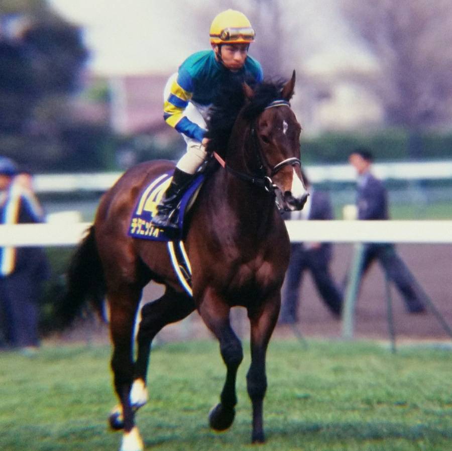 一度も会えなかったけれど、私の心には生き生きと - トウカイテイオー