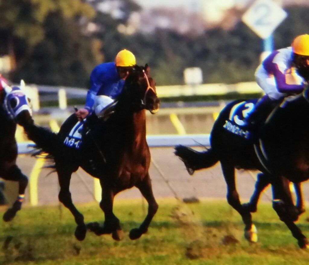 スペシャルウィークと第19回ジャパンカップ 。「日本総大将」に