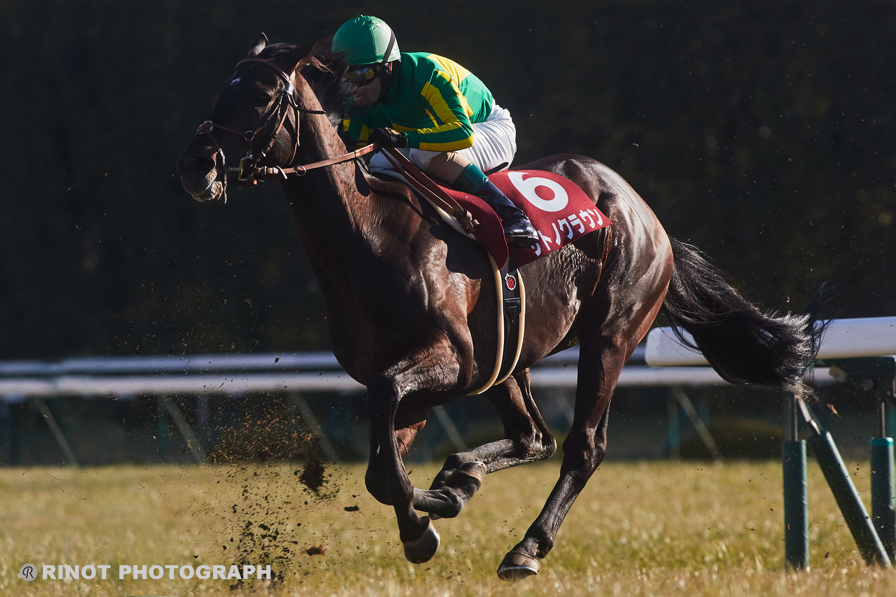 サトノクラウン - 逆境こそわが馬生 | ウマフリ | 競馬コラム＆ニュース