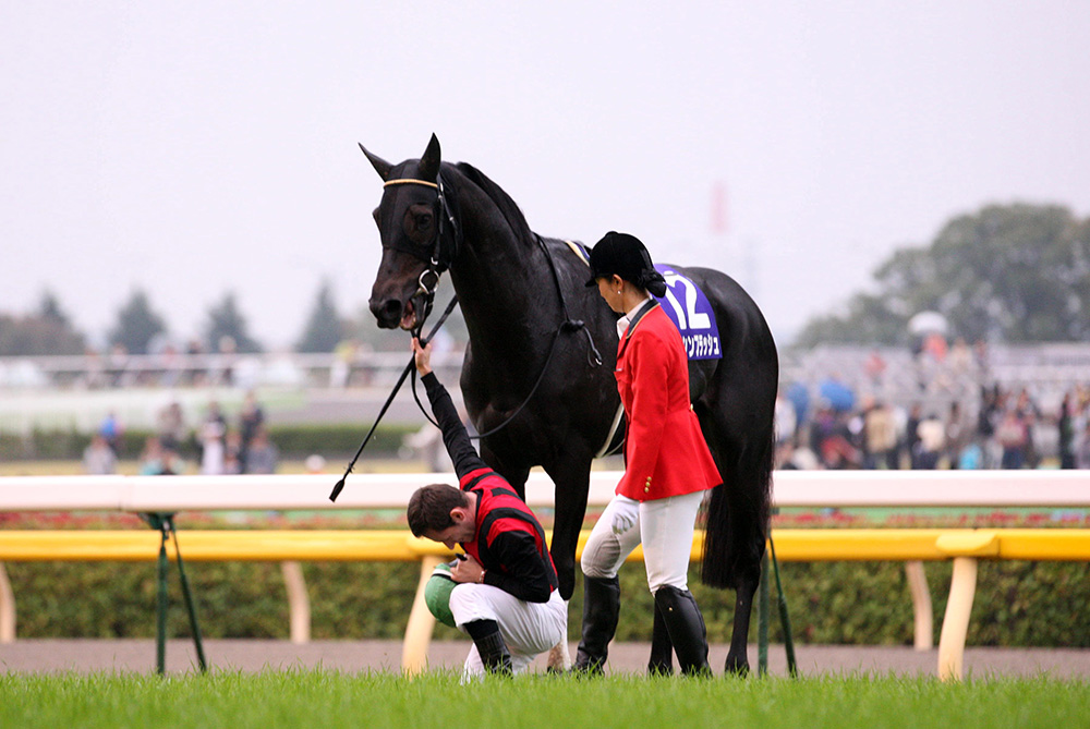 凄馬｜エイシンフラッシュ | 有吉正徳の凄馬 | UMATO