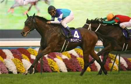 最高齢平地G1勝利】8歳 カンパニーなど4頭が記録｜競馬サプリ｜競馬
