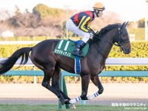 新潟2歳S2025】直撃取材！プロ予想家最速予想 「霧」「ジャンヌ」の