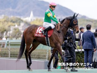 タガノエルピーダ - 競走馬データTOP｜競馬予想のウマニティ