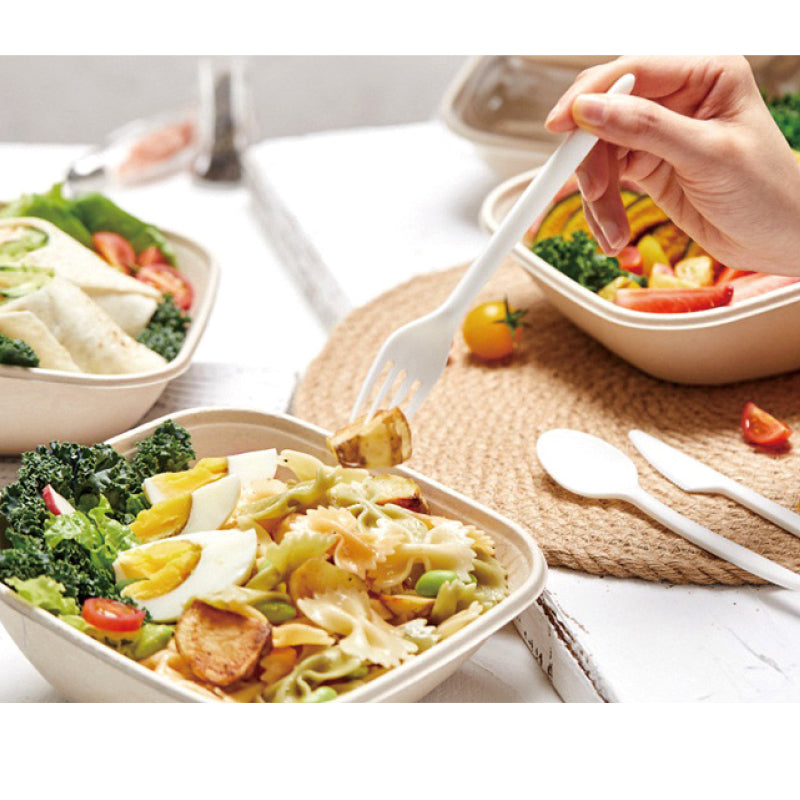 Sabert セイバート バガス 再生紙製容器 SBT-620ml パルプモールド楕円