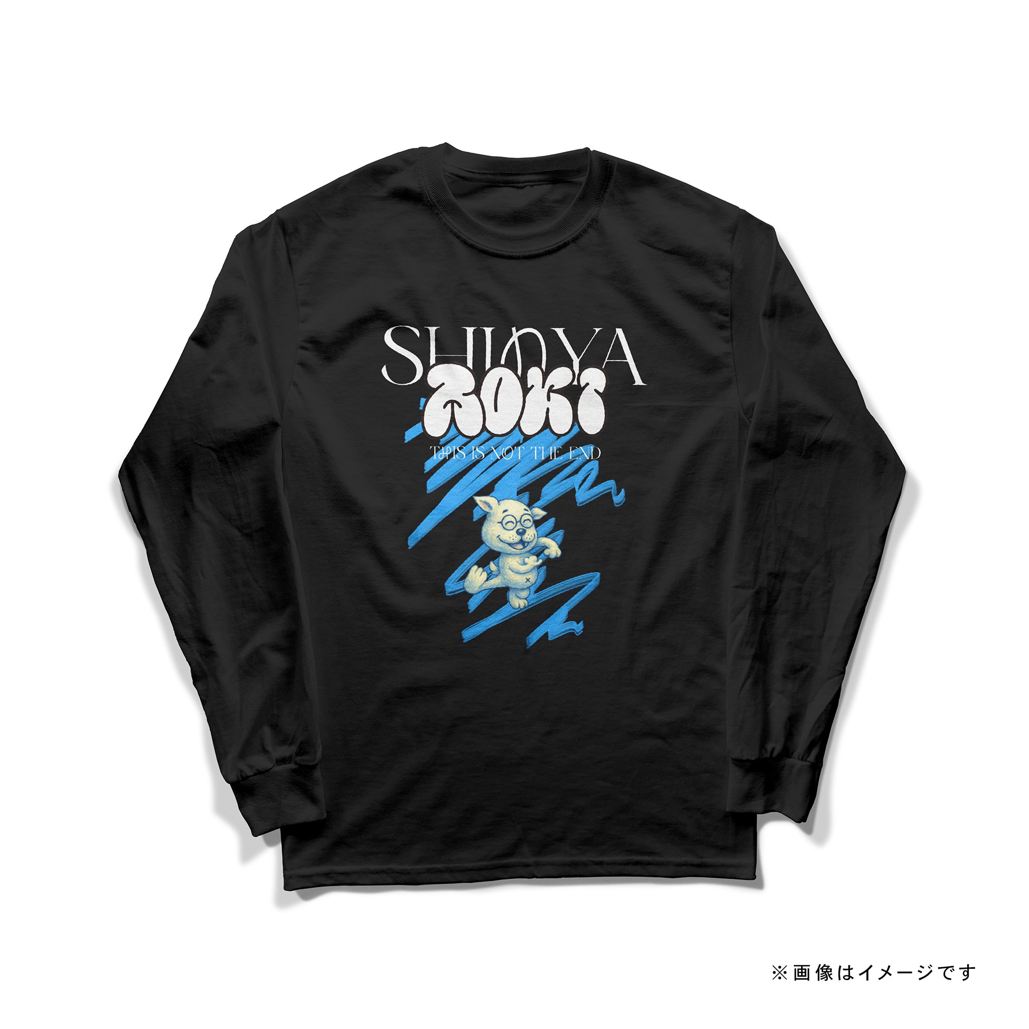 青木真也 TEAM Tシャツ / ロングスリーブ Tシャツ