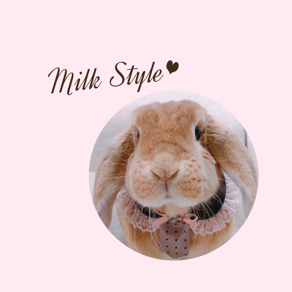 milk style | うさぎ作家 | うさフェスタ2024春