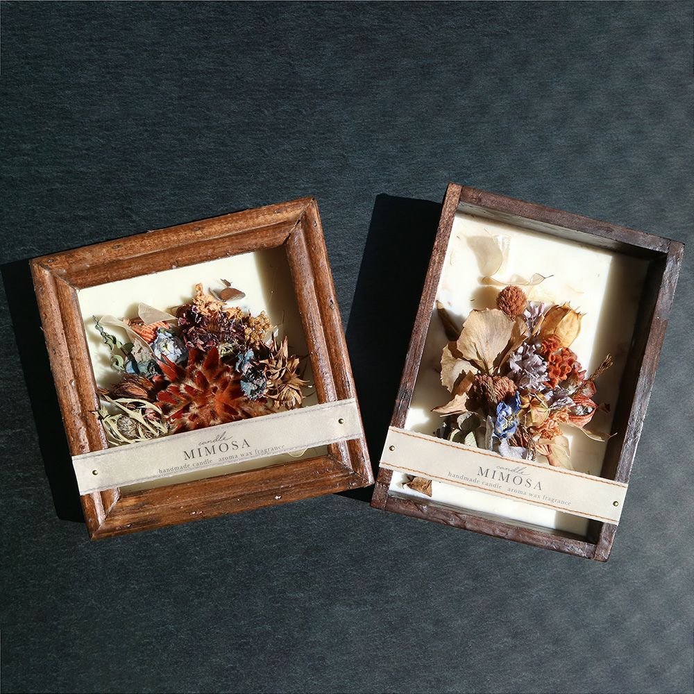 ◾️化石標本 木箱セット 70s×静けさのインテリア｜ELLE・エスカイア系