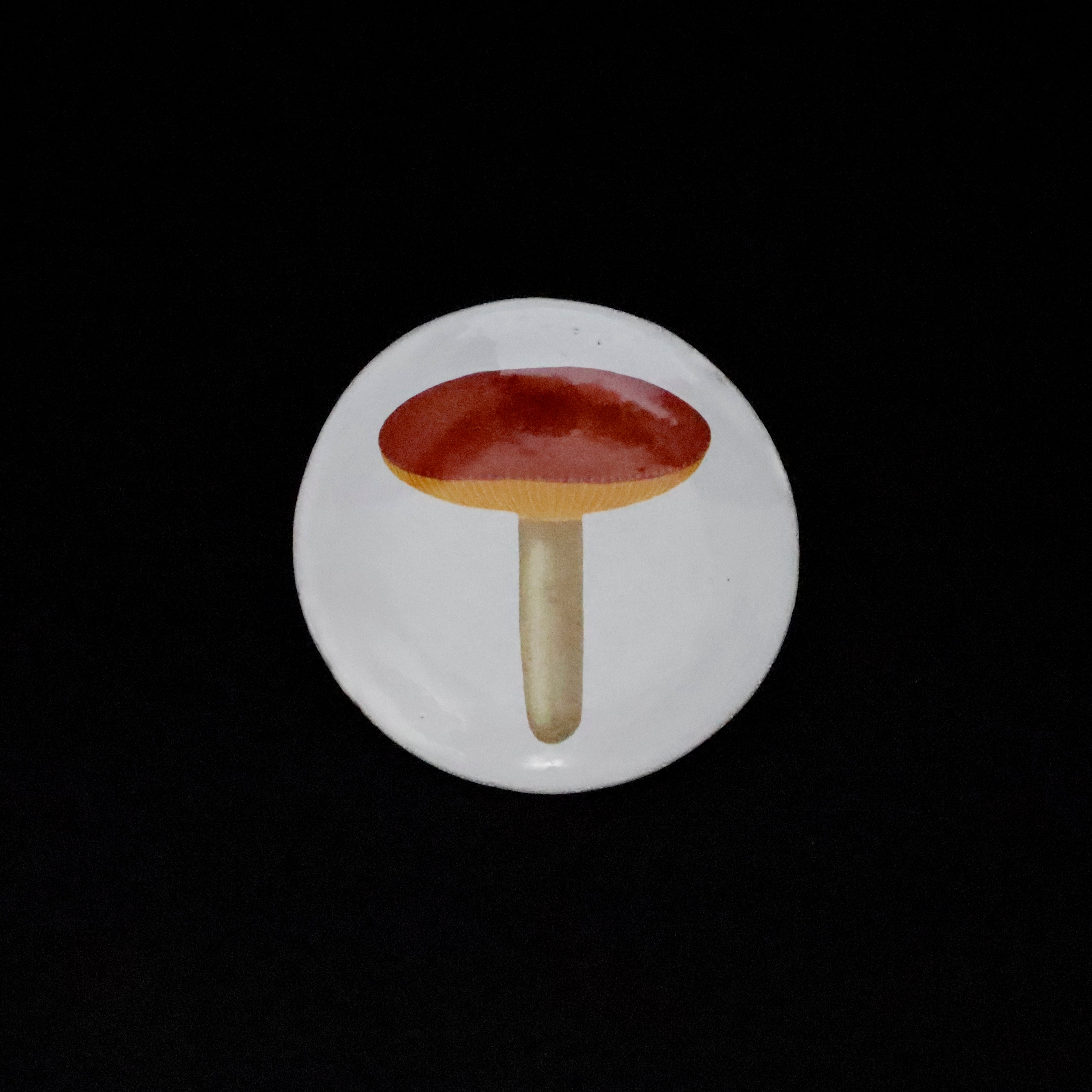 John Derian – VISIONS