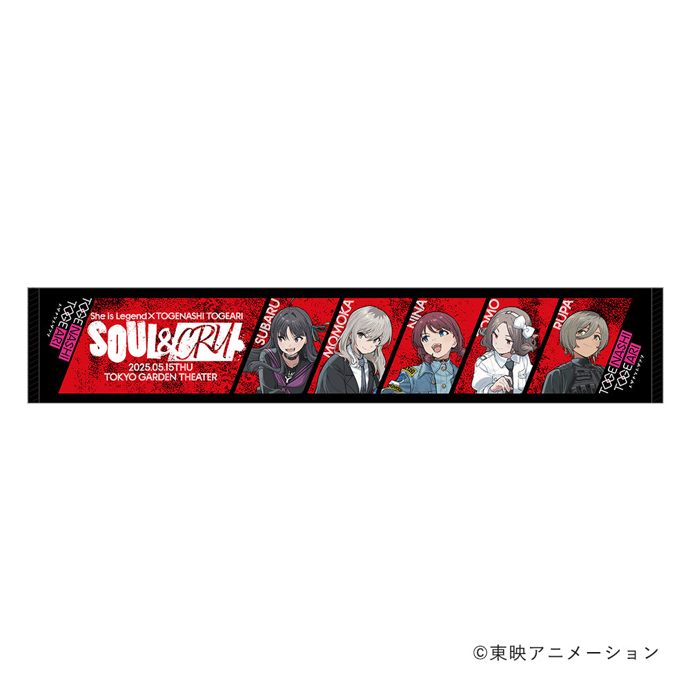 She is Legend×トゲナシトゲアリ 「SOUL & CRY」ライブグッズ – VA