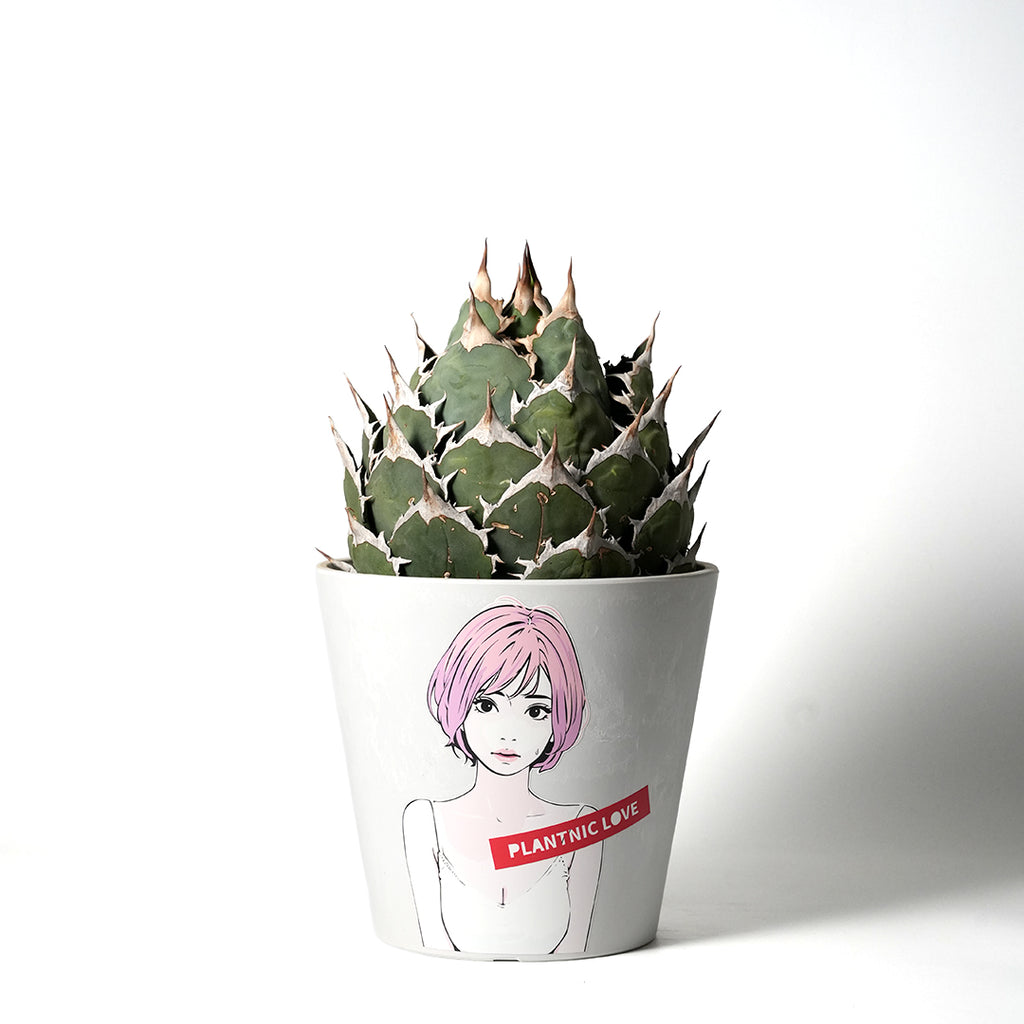 plant-a-W185-pink_1_1024x1024.