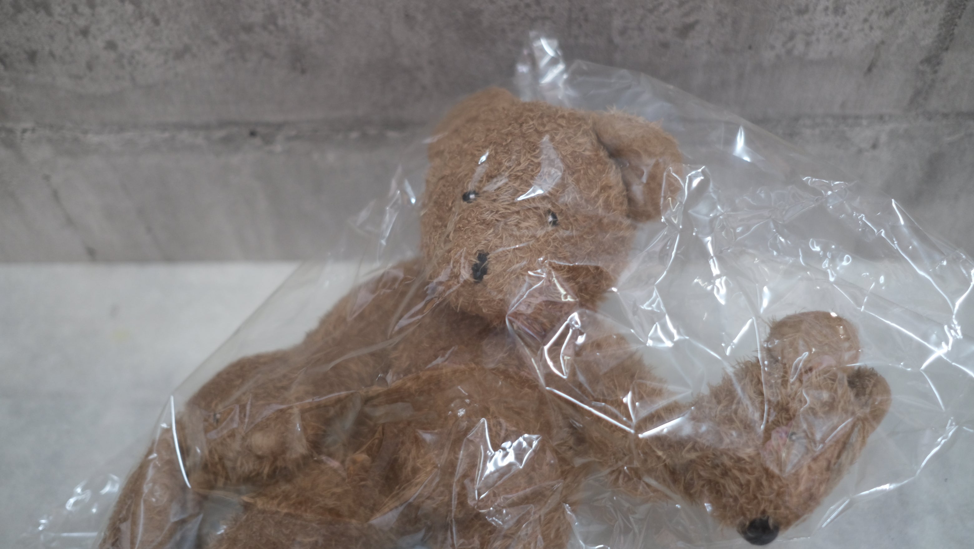 静かに寄り添う、デザインの贈りもの｜フィリップ・スタルク Teddy