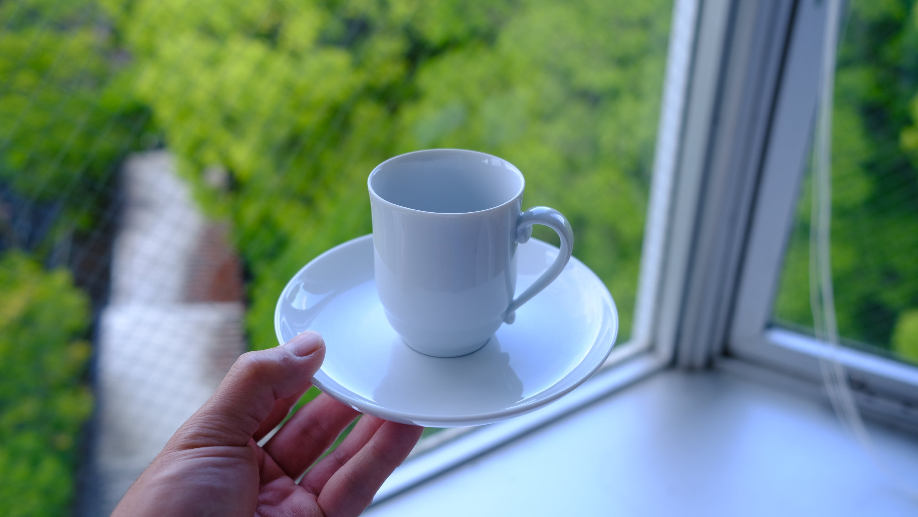 希少・美品】ロイヤル コペンハーゲン デミタス カップ＆ソーサー 2客