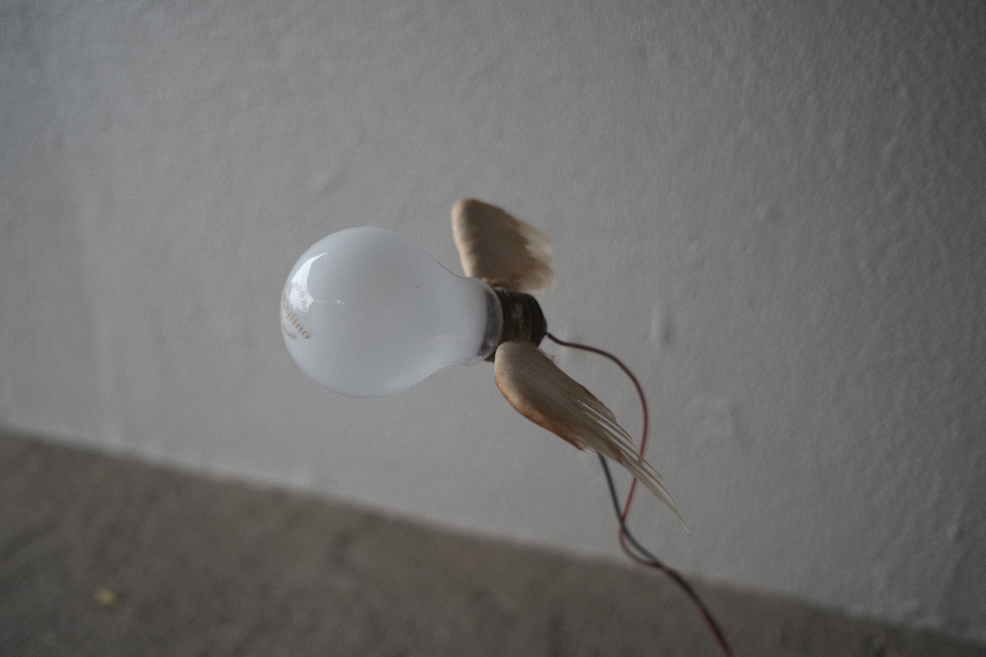 インゴマウラー ルーチェリーノ ランプ 中古照明 羽のアート スタジオ