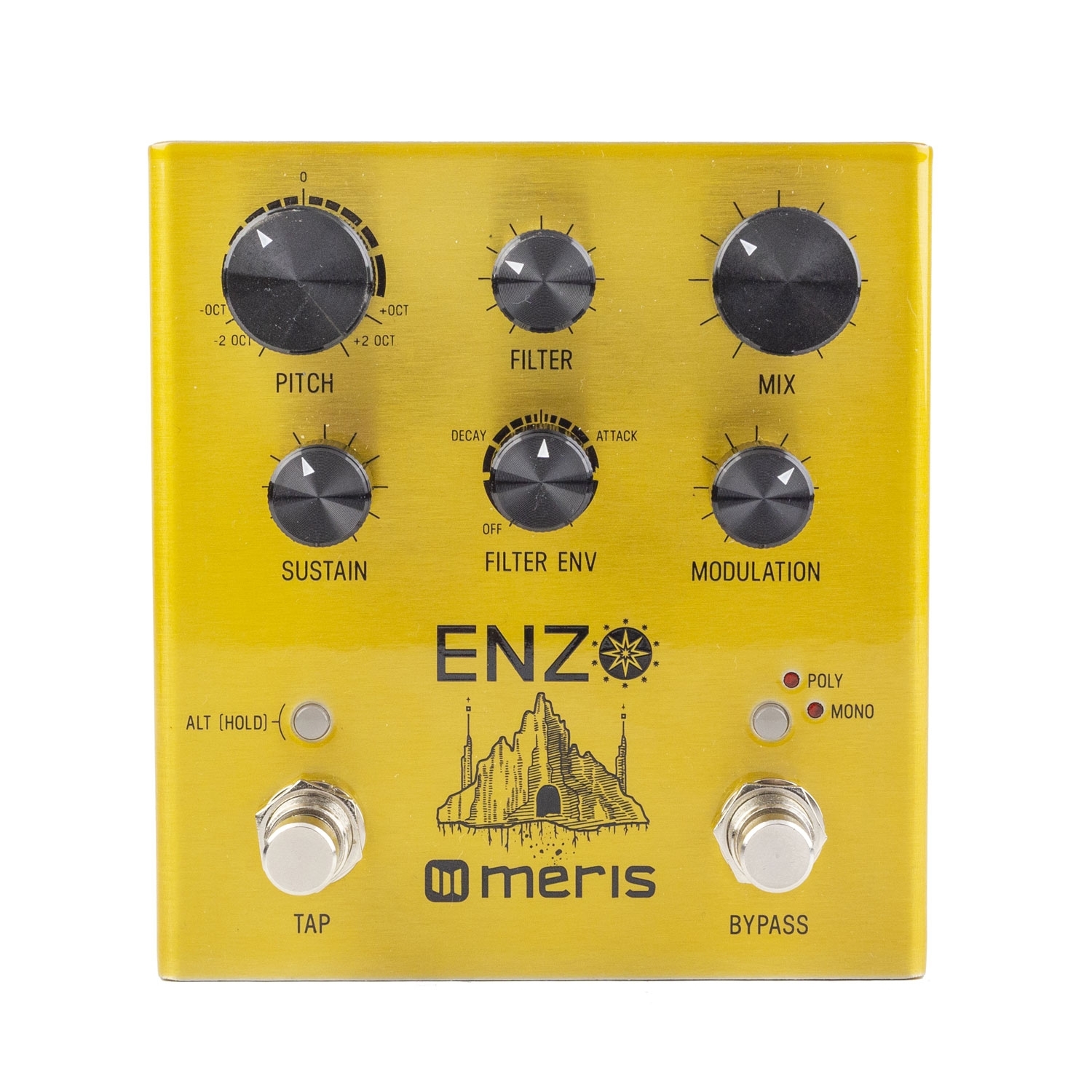 Meris Enzo - Meris Synthesizer Pedal - Meris Enzo Pedal - Vintage King