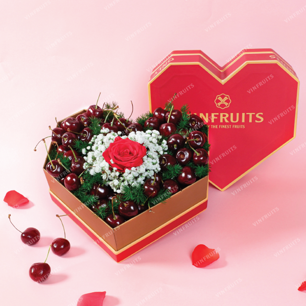 パーフェクト・コールドフレイム Reライフ プロモアード アトリエ