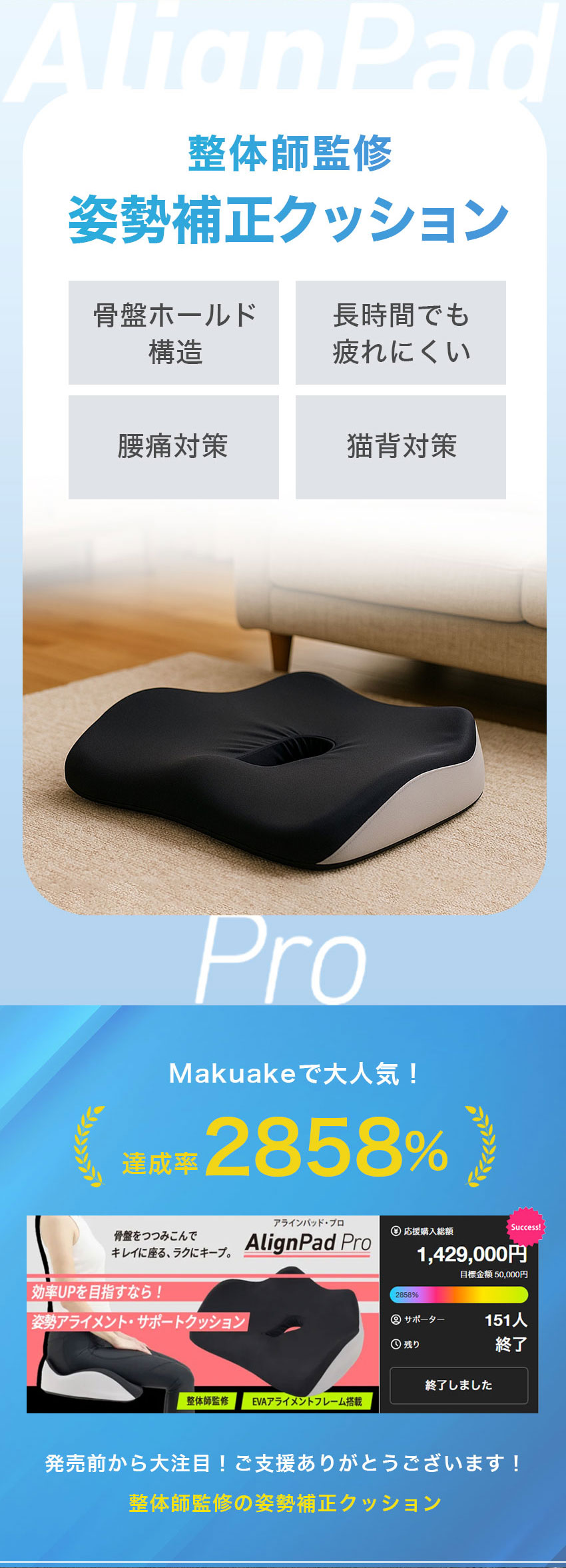 アラインパッド プロ | vibiby