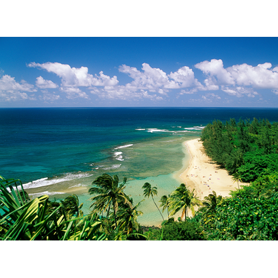 Hawaiian Radiance | Victoria McCormick