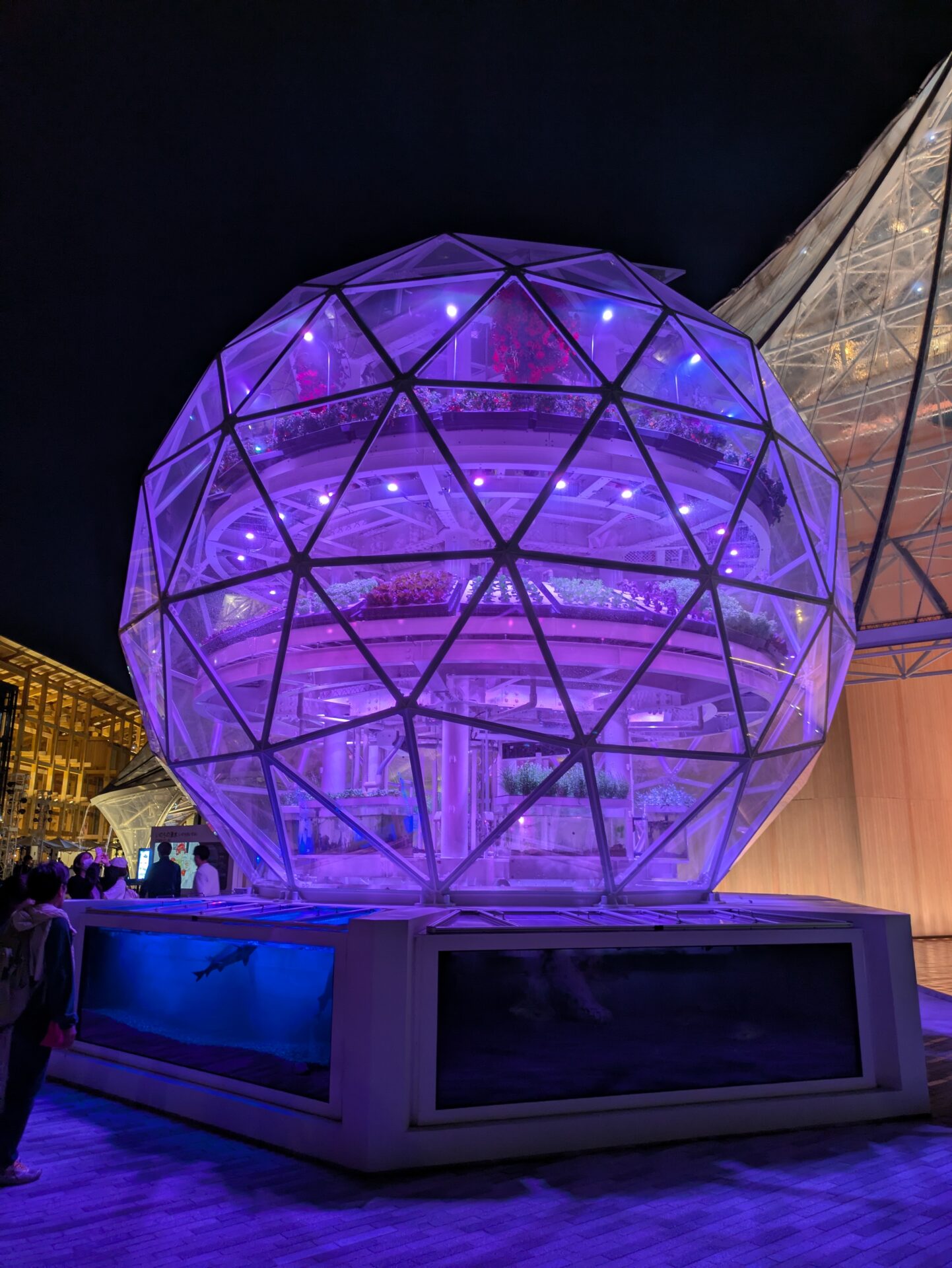 日本で唯一のドーム専門企業 VikingDomeJapan バイキングドーム