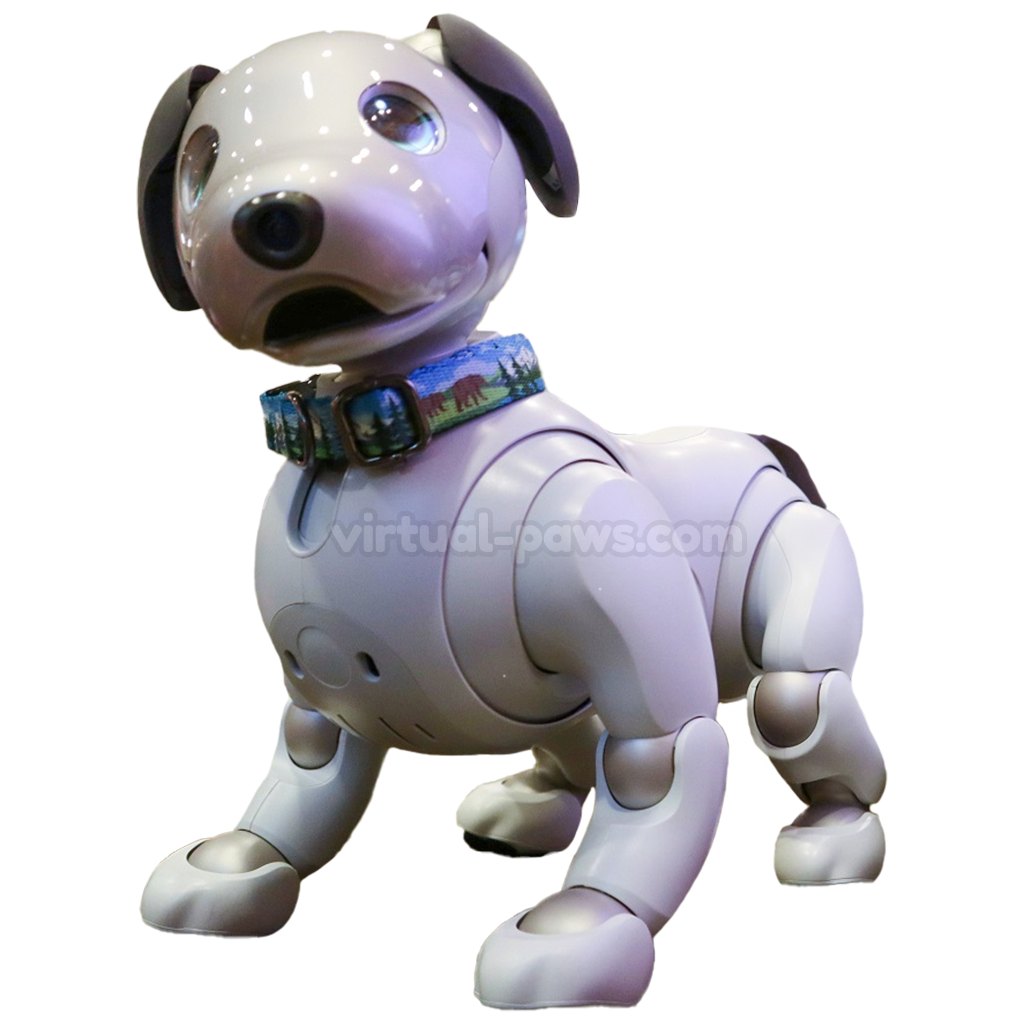 Aibo ERS-1000 Overview | Learn About Aibo | Virtual Paws